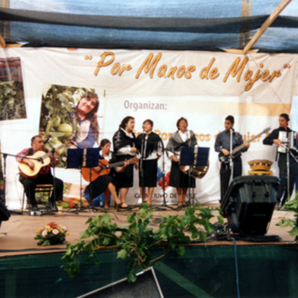 Conjunto folklórico Caicaivilú