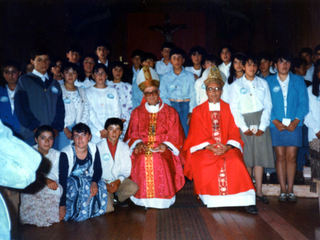 Visitas episcopales Visitas episcopales