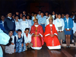 Visitas episcopales