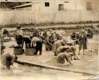 Lavado de erizo en la playa