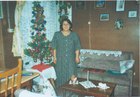 Navidad de la familia Villegas Navidad de la familia Villegas