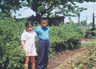 Primos Primos