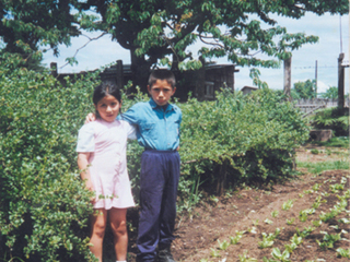 Primos Primos