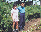 Primos Primos