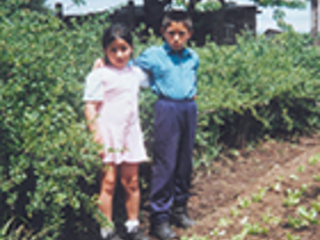 Primos Primos