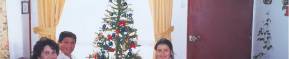 Licenciatura Licenciatura