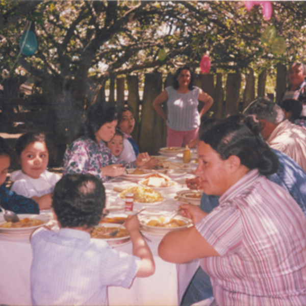 Almuerzo familiar