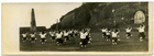 Revista de gimnasia Revista de gimnasia