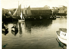 Muelle Muelle