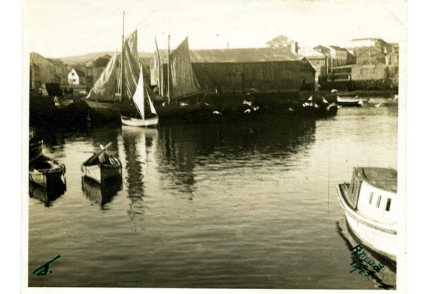 Muelle Muelle