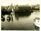 Muelle Muelle