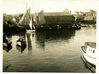 Muelle Muelle