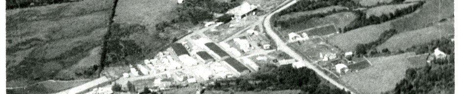 Planta maderera