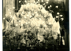Altar a la virgen María Altar a la virgen María