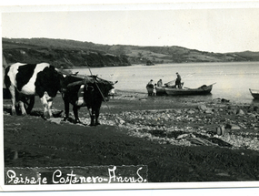 Playa La Arena