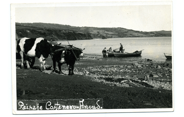 Playa La Arena