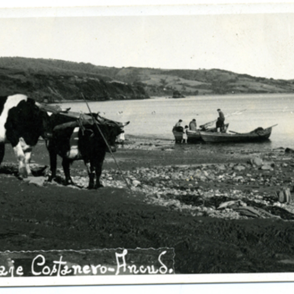 Playa La Arena