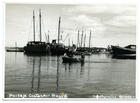 Costanera de Ancud Costanera de Ancud