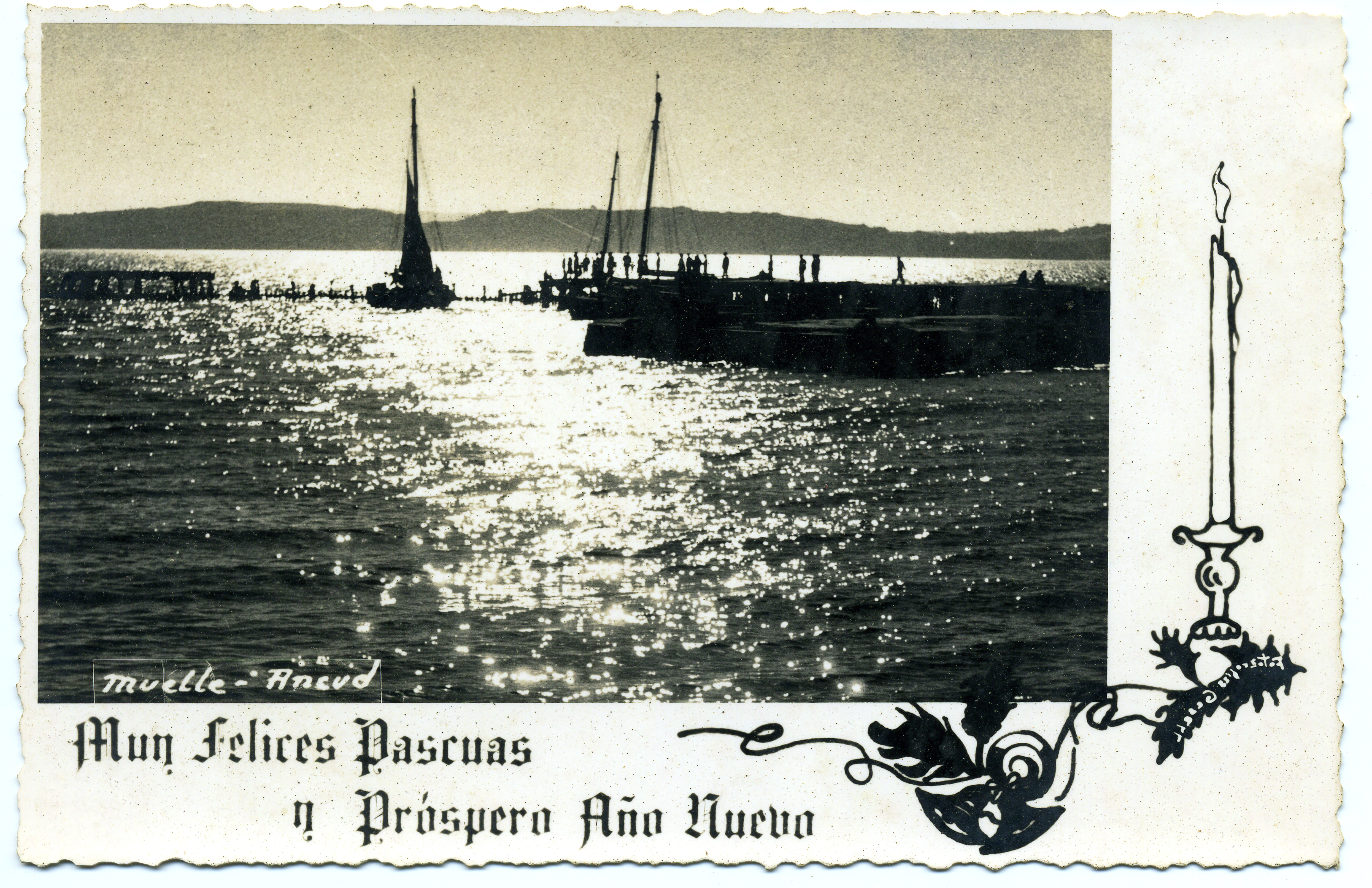 Muelle Muelle