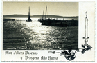 Muelle Muelle