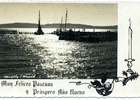 Muelle Muelle