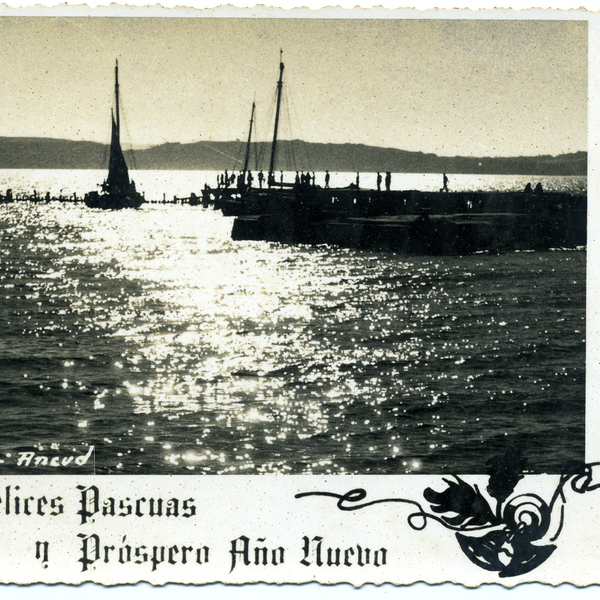 Muelle Muelle
