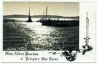 Muelle Muelle