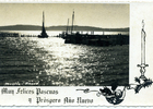 Muelle Muelle