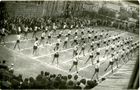 Revista de gimnasia Revista de gimnasia