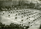 Revista de gimnasia