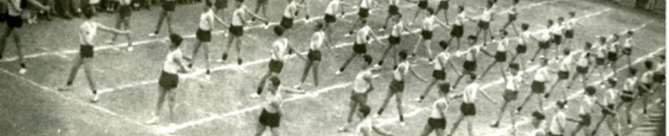 Revista de gimnasia Revista de gimnasia
