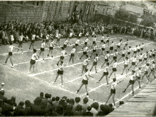 Revista de gimnasia Revista de gimnasia