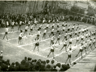 Revista de gimnasia Revista de gimnasia