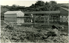 Edificio de exposiciones agropecuarias afectado por marea