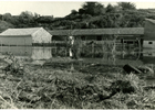 Edificio de exposiciones agropecuarias afectado por marea