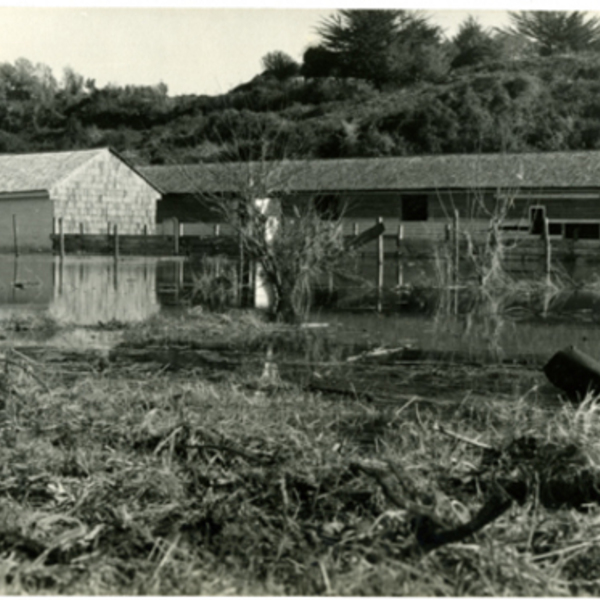 Edificio de exposiciones agropecuarias afectado por marea