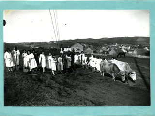 Clase de agricultura