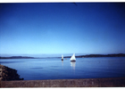 Bahía de Ancud Bahía de Ancud