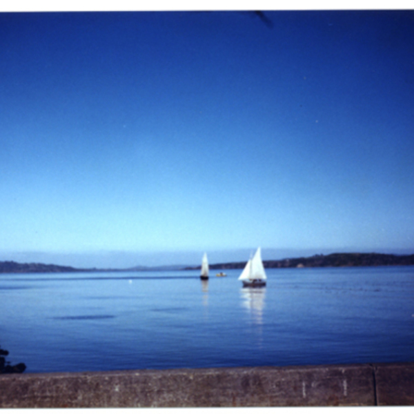 Bahía de Ancud