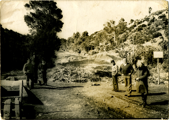 Construcción de camino