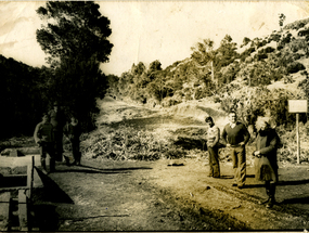 Construcción de camino