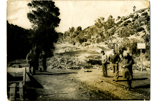 Construcción de camino