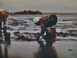 Mariscadoras Mariscadoras