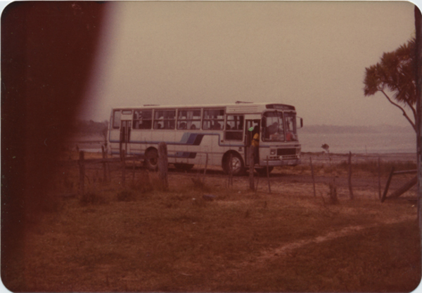 Bus Caulín- Ancud Bus Caulín- Ancud