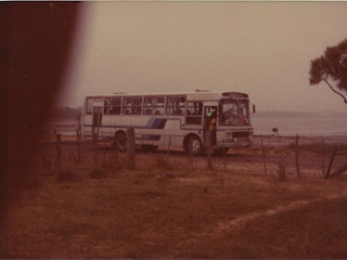 Bus Caulín- Ancud