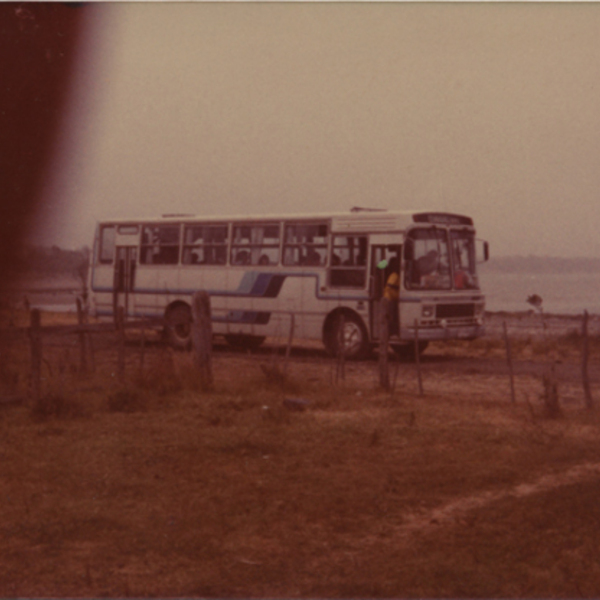 Bus Caulín- Ancud