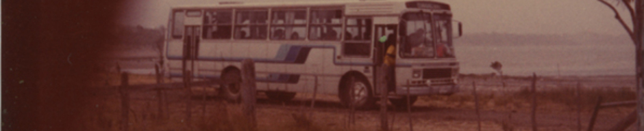 Bus Caulín- Ancud