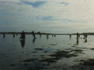 Mariscadores Mariscadores