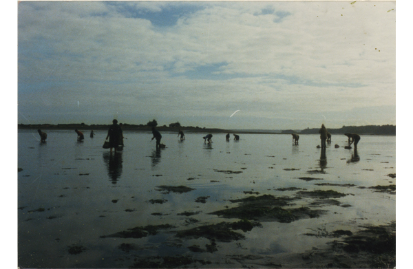 Mariscadores Mariscadores