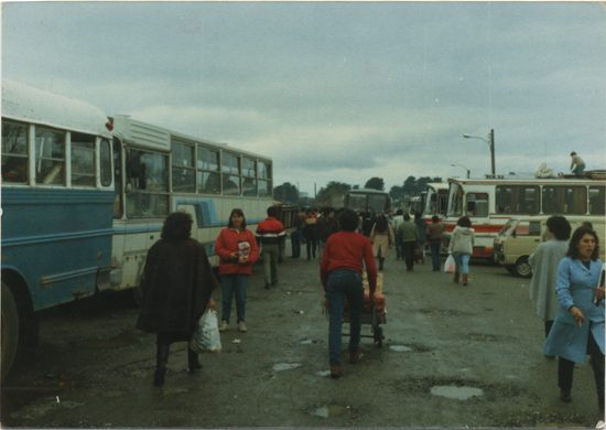 Terminal de buses